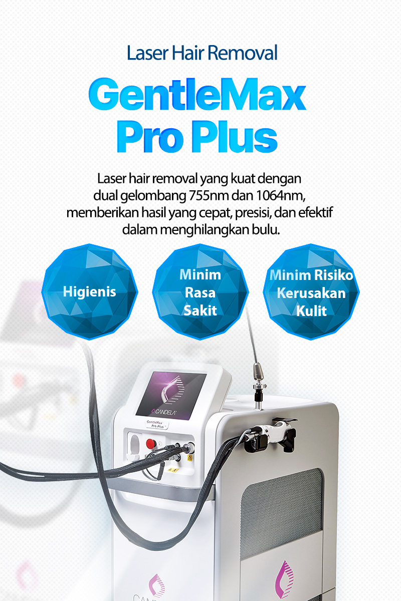 Gentlemax Pro Plus - Hongdae